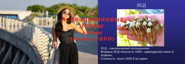 дмт Балахна